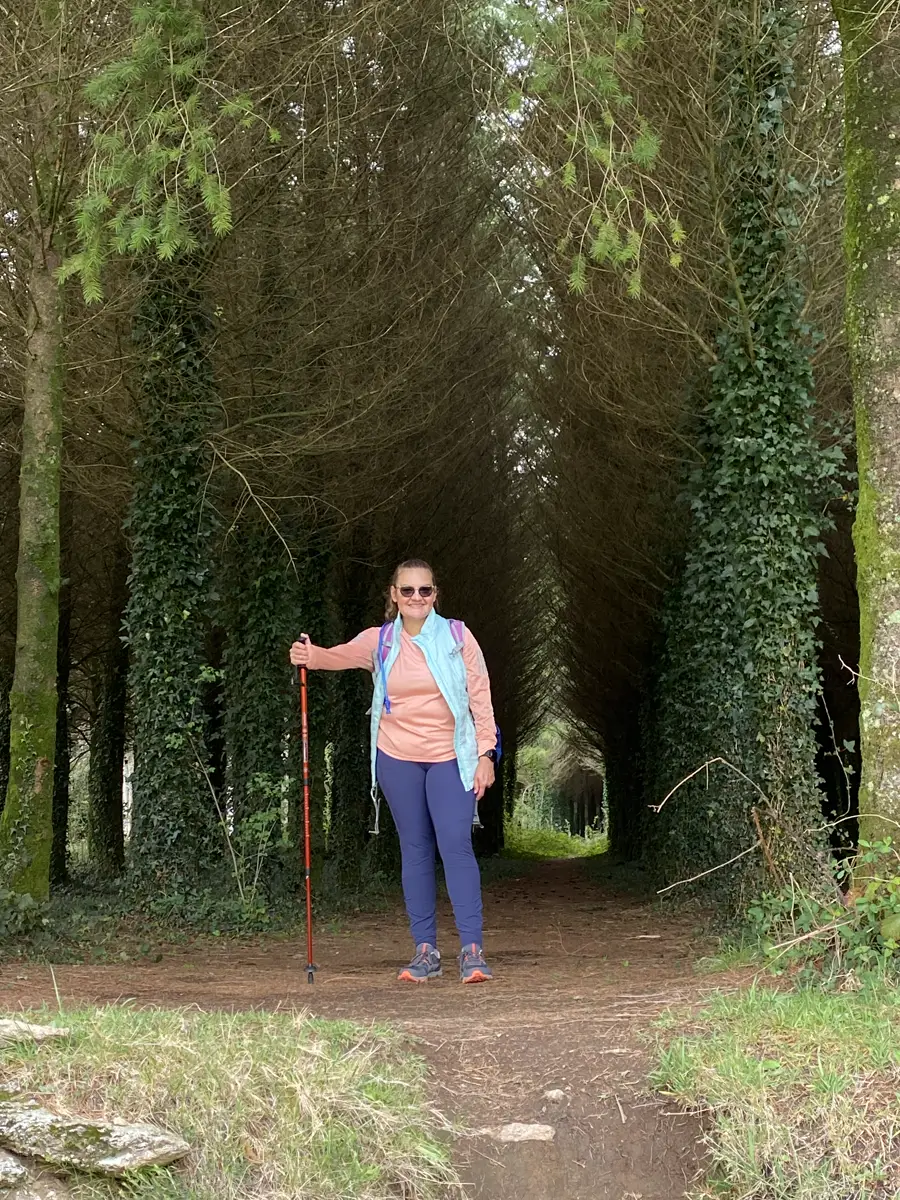 A eucalyptus-lined Camino path forming a green tunnel